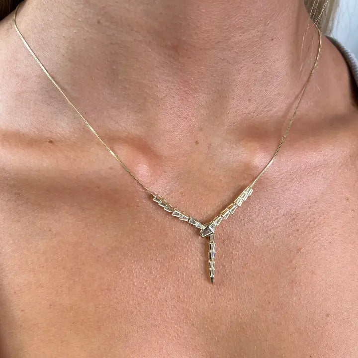 Snake Shine Silver Necklace