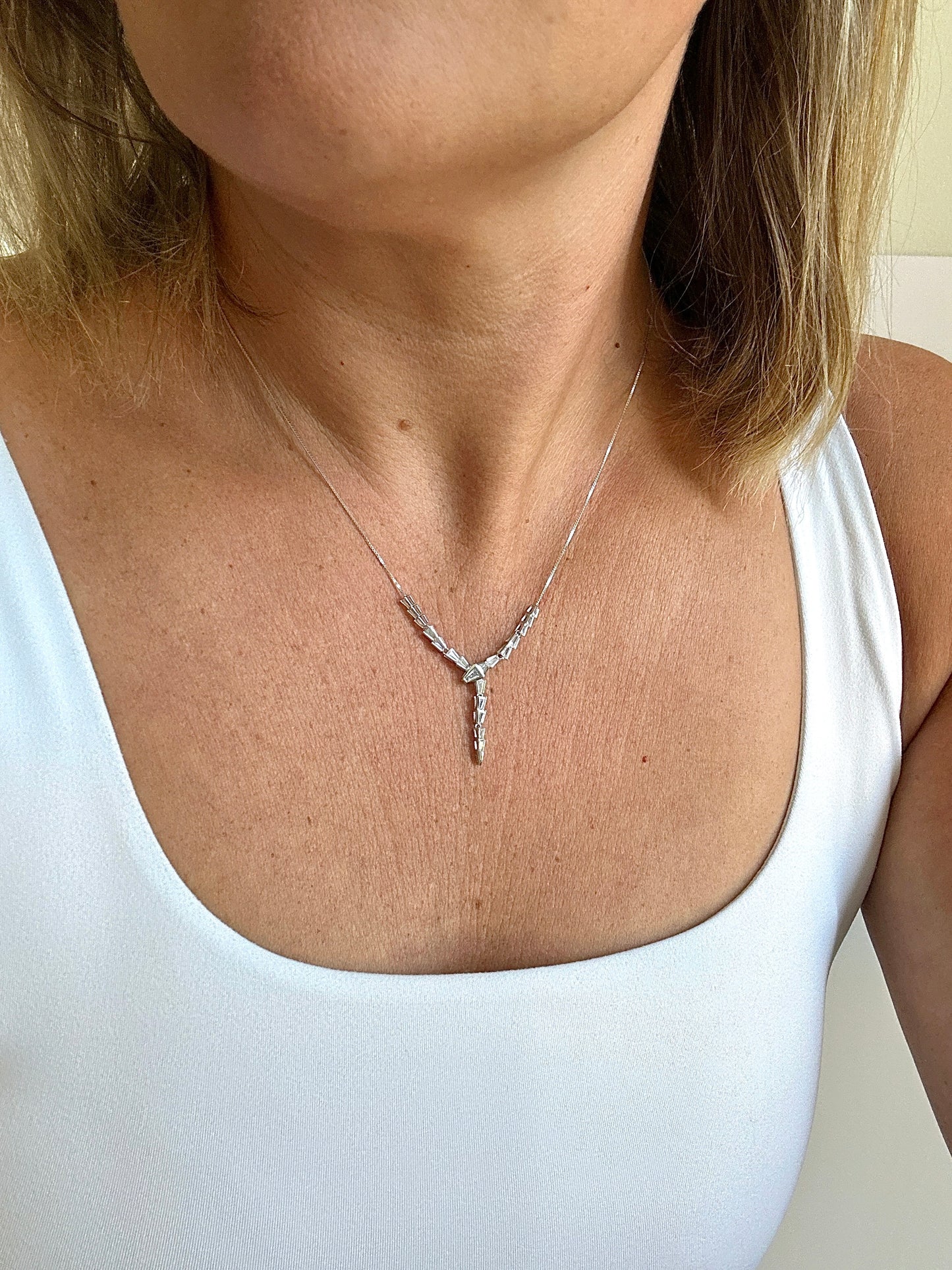 Snake Shine Silver Necklace