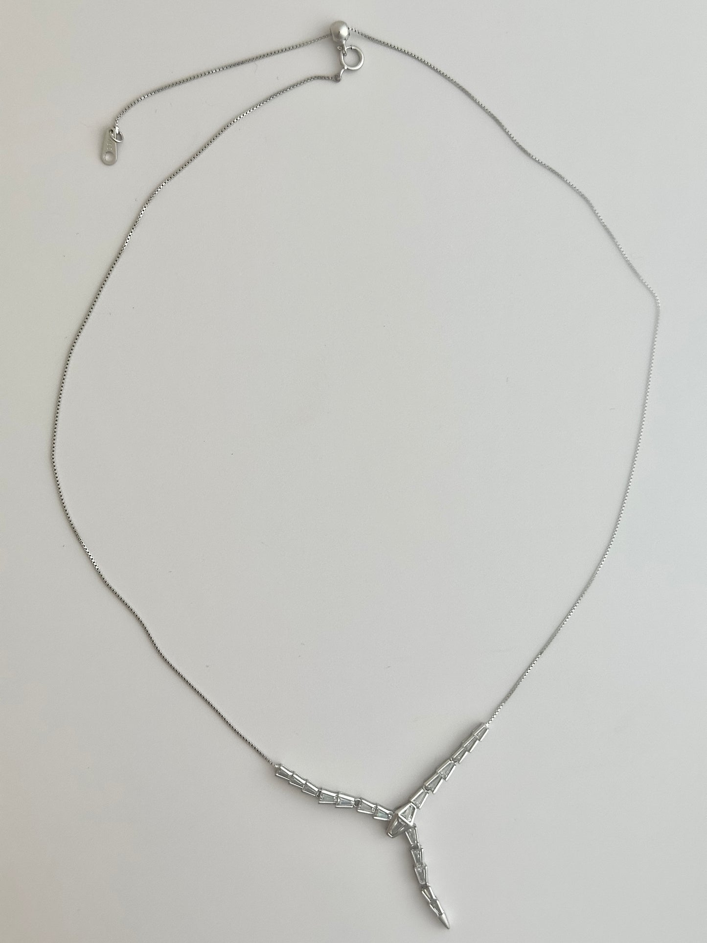 Snake Shine Silver Necklace
