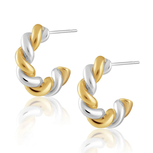 Two Tone Twist Hoops
