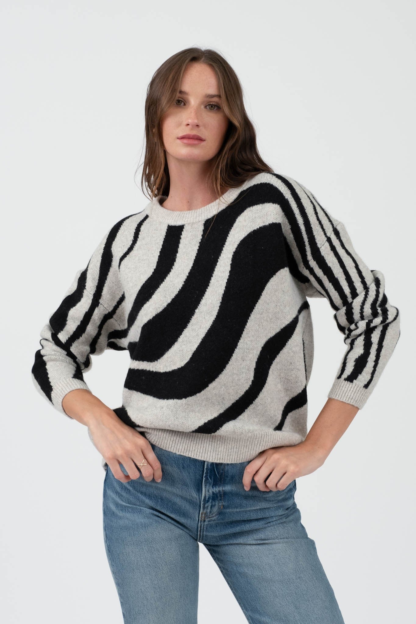 Zebra Stripe Sweater